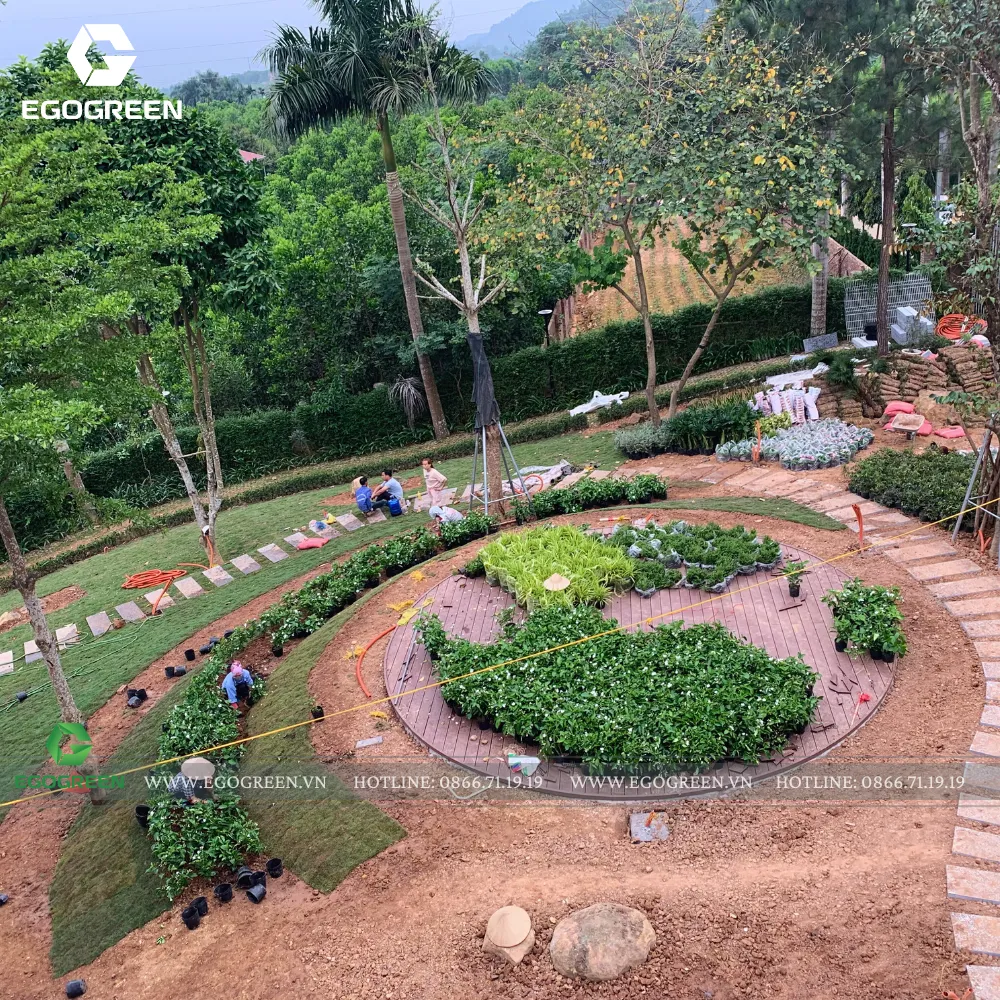 Từng mảng đất trống được trồng phủ cây hoa đan xen theo màu trắng, độ cao thấp khách nhau để tạo nên sự hài hòa về bố cục.